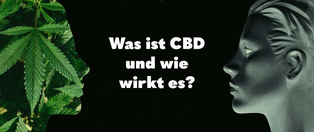 was ist cbd und wie wirkt cbd | blog header 420/7