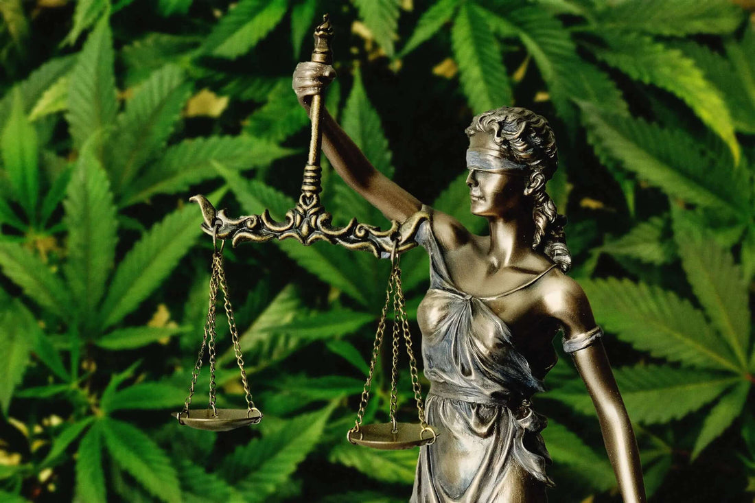 Ist CBD legal in der Schweiz oder nicht? Unser Blogartikel von 4207/7 zeigt die wichtigsten rechtlichen Leitplanken für CBD in der Schweiz.