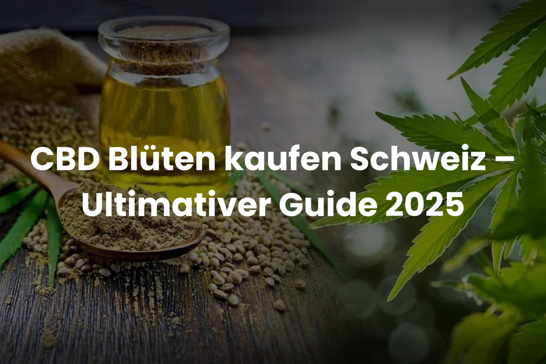 CBD Blüten kaufen Schweiz – Ultimativer Guide 2025
