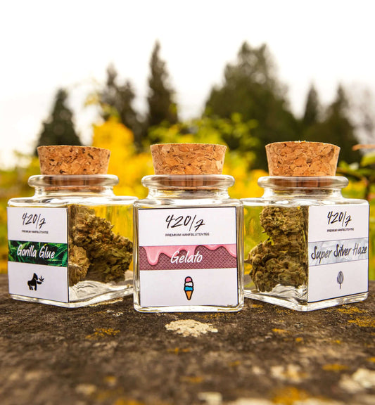 CBD Blüten und wie man sie konsumiert