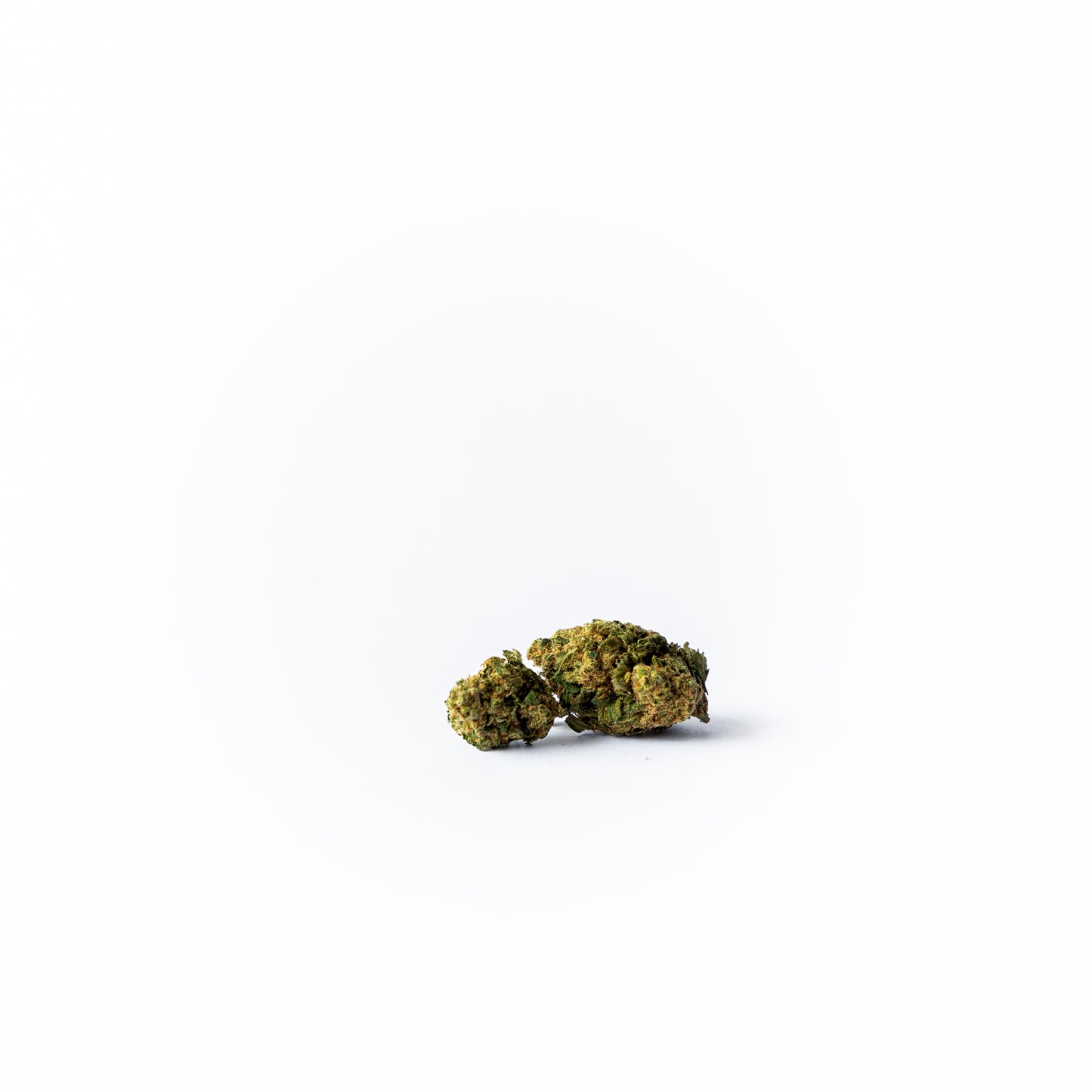 "Gorilla Glue"
