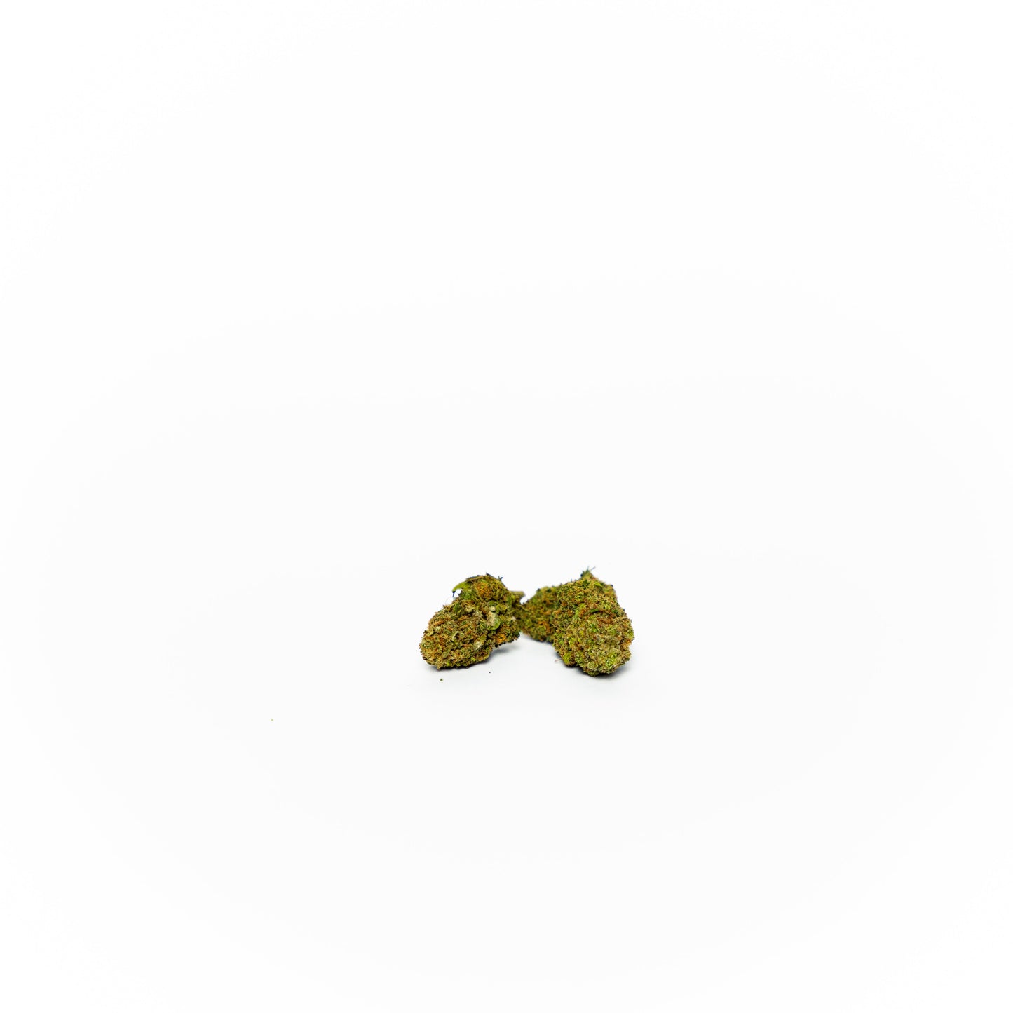 Hashplant ONE