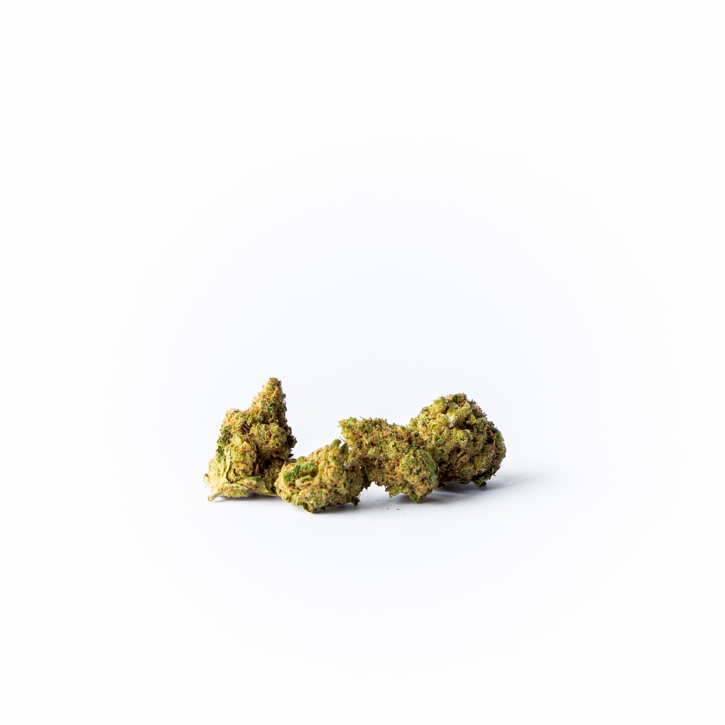 "N.Y.C. Diesel"