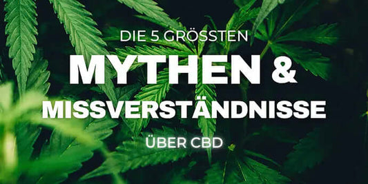 Die 5 größten Mythen und Missverständnisse über CBD