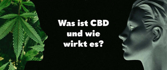 was ist cbd und wie wirkt cbd | blog header 420/7