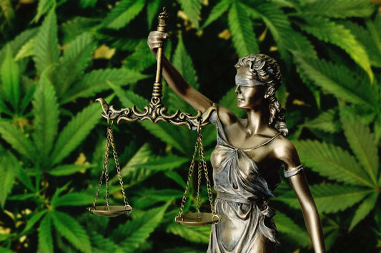 Ist CBD legal in der Schweiz oder nicht? Unser Blogartikel von 4207/7 zeigt die wichtigsten rechtlichen Leitplanken für CBD in der Schweiz.