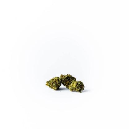 "Gelato" 4207at