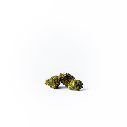 "Gelato"