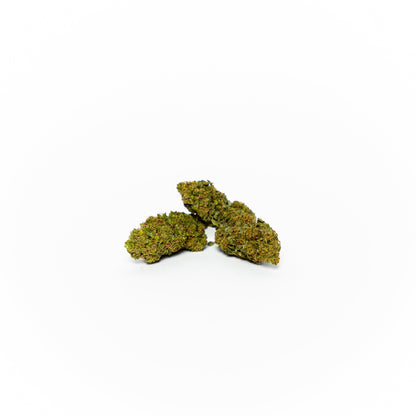 Hashplant ONE