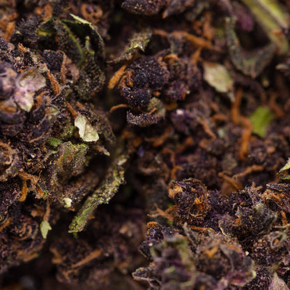 "Purple Haze" 420/7 Shop